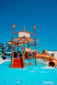 people in a park during daytime